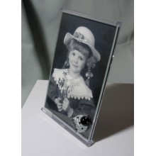 Picture Frame with Ladybird
