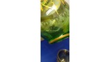 SET 5 BICCHIERI WISKY + BOTTIGLIA GRIFFE