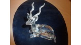 The Kudu