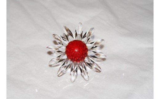 Red Daisy