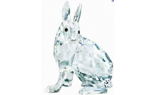 Artic Hare