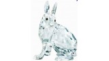 Artic Hare