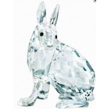 Artic Hare