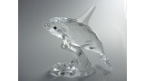 Orca
