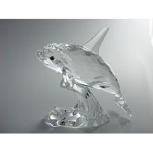 Orca