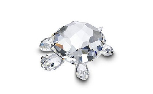 Tortoise