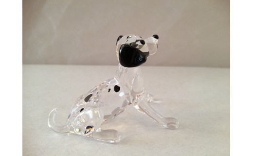 Dalmatian Puppy Sitting