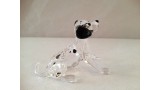 Dalmatian Puppy Sitting