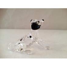Dalmatian Puppy Sitting