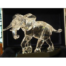 Elefante ( 2006) edizione lim 10.000 pz