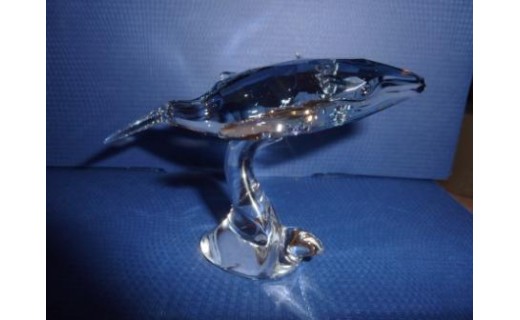 Whale Scs 2012