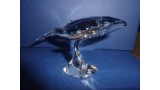 Whale Scs 2012