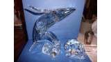 Whale Paikea Scs 2012