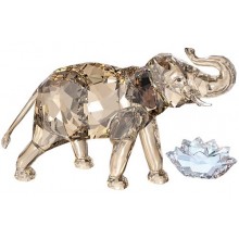  Elefante Cinta SCS 2013