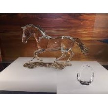 Cavallo annuale SCS 2014